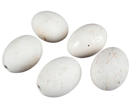 FIVE ELTEX CERAMIC DUMMY OR CROCK EGGS for hens and ducks, 6cm long (5)Provenance: A private Shropshire sporting collection.