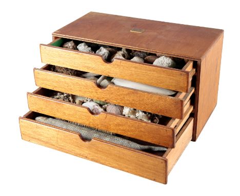 AN EDWARDIAN OAK COLLECTER'S CHEST the four graduated drawers containing a collection of various shells, coral, rocks, crysta