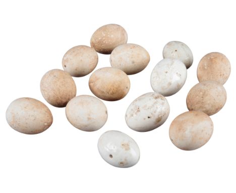 FOURTEEN ELTEX CERAMIC DUMMY OR CROCK EGGS for bantams and pheasants, 4cm long (14)Provenance: A private Shropshire sporting 