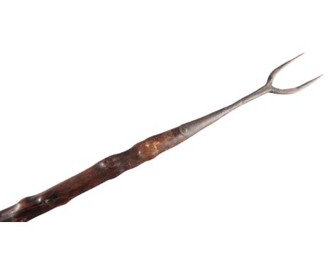 A WROUGHT IRON SALMON SPEAR late 19th/early 20th century, the two pronged fork over a hawthorn shaft, 205cm longNote: The buy