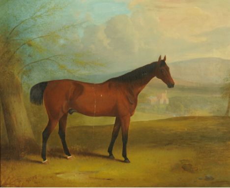 19th century English School, oil painting, portrait of the racehorse "Brayton by President aged 8 1/2 years 1843", the horse 