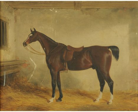 19th century English School, oil painting, portrait of the racehorse "Skiddaw, by Corinthian (1843)", the canvas 42 x 51 cm i
