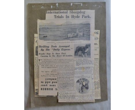 Sheepdog Trials (1931) and Stag Hunting (1930) Various Press Cuttings on these country pursuits.