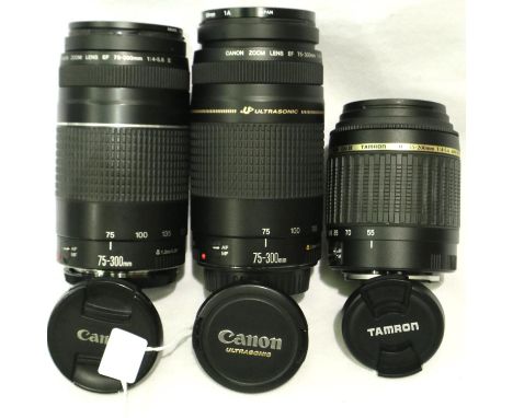 Canon Zoom lens EF 75-300mm 1:4-5.6 II Ultrasonic, Canon lens 75-300mm 4-5.6 III and a Tamron D:II AF 55-200mm 4-5.6 macro le