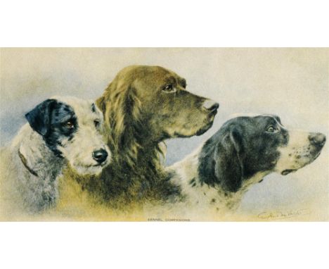 AFTER EUGENIE VALTER 'Kennel Companions', head studies of two gundogs and a terrier, colour print, 15.5 x 29.5cm