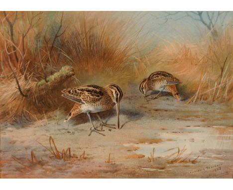 AFTER ARCHIBALD THORBURN (BRITISH, 1860-1935) Snipe, colour print, signed in pencil lower right, 27.5cm x 37cm.