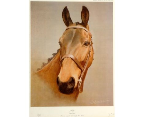 AFTER DES SNEE 'Arkle (1957 - 1970) - a head study, a limited edition colour print, no. 394/850, signed and numbered in penci