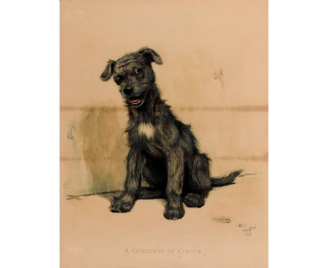 AFTER CECIL ALDIN 'A Gentleman of Colour' Study of a seated Terrier.  Colour print, 57cm x 35cm