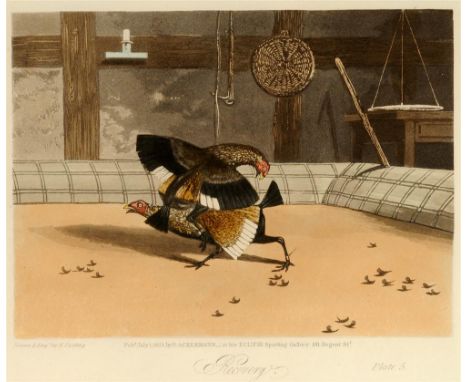 AFTER N FIELDING 'Set Too', 'Fight', 'Throat', 'Knockdown', 'Recovery' and 'Death', a set of six cockfighting prints, publish