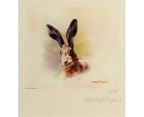 AFTER MANDY E. SHPEHERD Head Study of a Hare, a limited edition colour print, No 841/850, signed in pencil and numbered on th