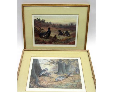 AFTER ARCHIBALD THORBURN (BRITISH, 1860-1935) Mallards; Teal and Widgeon; Black Grouse; Snipe; and Wood Pigeons; five colour 