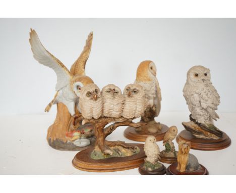 Collection of owls, ceramic and others 