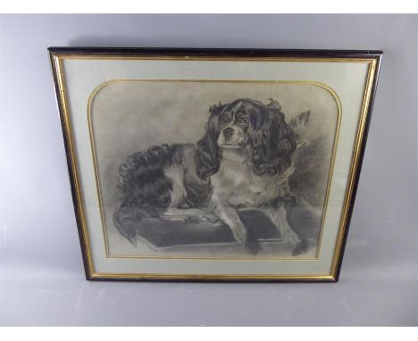 A Pencil Study of a Spaniel, depicted resting on a cushion, unsigned, glazed and framed,&nbsp;approx 57 x 46 cms (io).