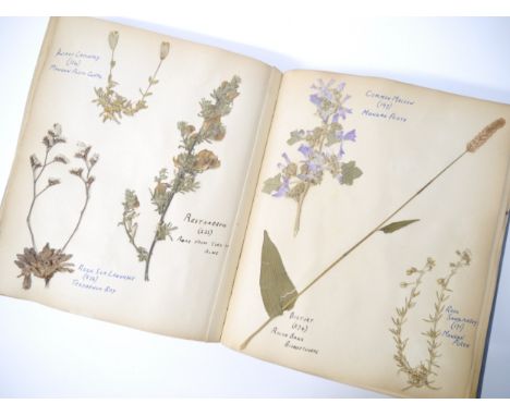 (Herbarium.) A circa early 20th Century album containing 200+ dried plant specimens, all with contemporary manuscript pen &am