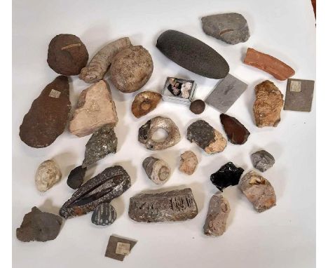A collection of fossils, minerals, an ancient stone axe head and similar