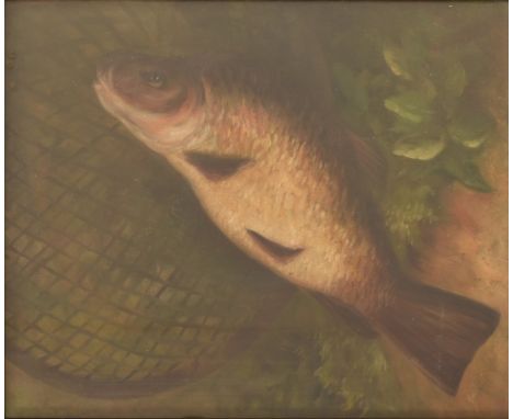 A vintage 20th century oil on canvas painting depicting a tench fish. The fish on a grassy verge, a net in the background. Un