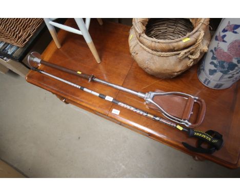 A shooting stick and a walking stick