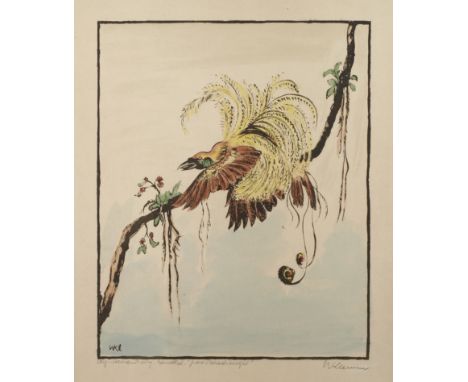 Walter Klemm, "Großer Paradiesvogel"der prächtige Vogel mit buntem Federkleid auf einem Ast sitzend, aquarellierte Lithograph