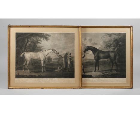 Robert Dodd, Paar PferdedarstellungenDarstellung des Reitpferdes "Grey Diomed" und "Escape", in leicht hügeliger Landschaft m
