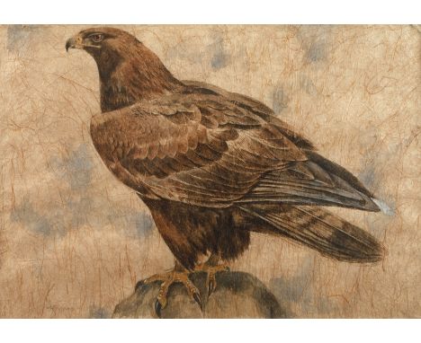 Johannes Poppen, Steinadlermajestätisch auf einem Stein sitzender Steinadler im Profil, seit den 1930er Jahren befasste sich 