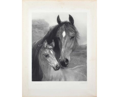 After Heywood Hardy (British 1842-1933) "Mare and Foal" Engraved by Joseph Bishop Pratt (1854-1910), signed by both the artis