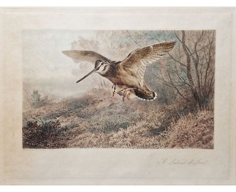 After Archibald Thorburn (British 1860-1935)Colour print"A Labour of Love" colour print, 27 x 36cm, together with "Hungry Woo
