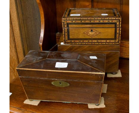A Victorian Walnut Box, with Tunbridge inlay, containing a variety of seashells, together with a Regancy mahogany tea caddy o