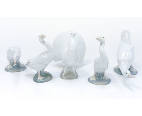 Three Lladro geese (various forms) a Nao goose and a Nao dove (5) 