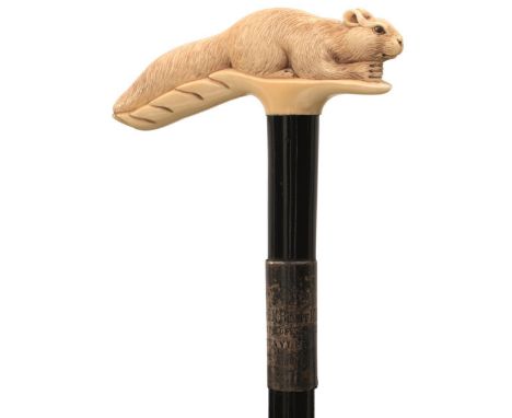 A LATE 19TH CENTURY WALKING STICK, the ivory handle carved as a reclining squirrel on a branch, above horn and ebonised shaft