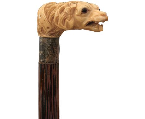 AN EDWARDIAN WALKING STICK, the carved ivory handle in the form of a dog's head with glass eyes and silver collar hallmarked 