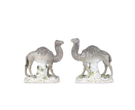 A very rare pair of Meissen models of dromedary, circa 1760-65Each naturalistically modelled and finely panted in shades of g