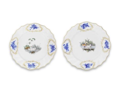 A pair of Tournai plates, circa 1775Painted with water birds in landscape vignettes in the well, the lobed gilt-edged rims de