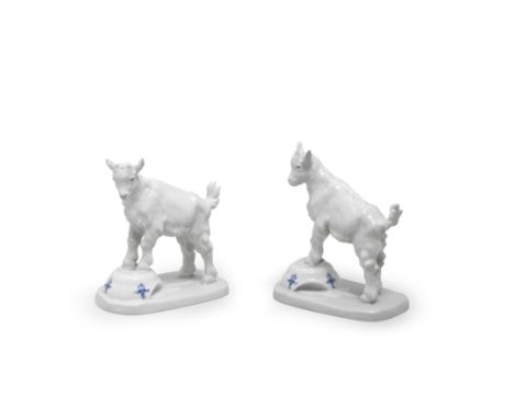 Two Meissen models of goats from the Pfeiffer period, circa 1924-34Modelled by Erich Hösel, each with its forelegs on an upsi