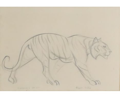 Stanislaus Brien (fl. 1930's - Polish) - Charcoal sketch - "Tiger, India", signed in pencil and inscribed, 9.75ins x 13.75ins