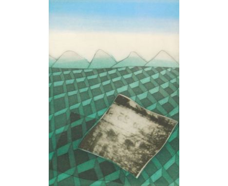 Hamig?; Precast meadow, artist signed lithograph 11/50, 36cm x 28cm.