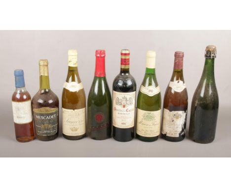 A collection of wines, Merlot Cabernet Sauvignon, Rapace semi sparkling wine examples  