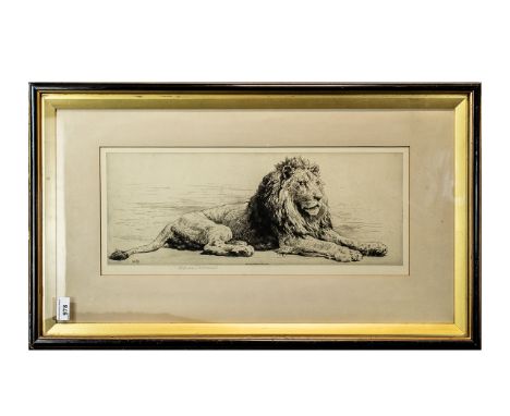 Herbert Dicksee Pencil Etching Depicting a Lion, signed in pencil, in original frame, mounted and framed behind glass, overal