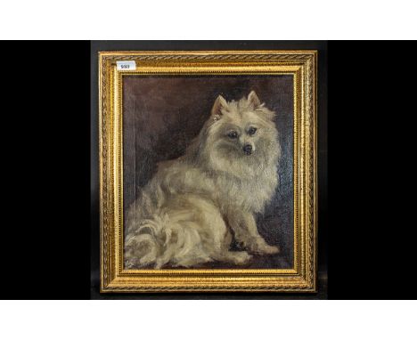 Early 20th Century Oil on Canvas Portrait of a dog.  Framed, measures 16" x 14".