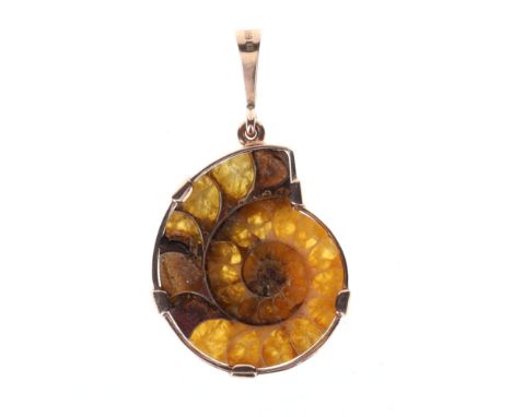 9ct gold Ammonite pendant. Measures approx. 4.5 x 2.5cm. Hallmarked on the bail 375. Minimal surface wear to the metal, some 
