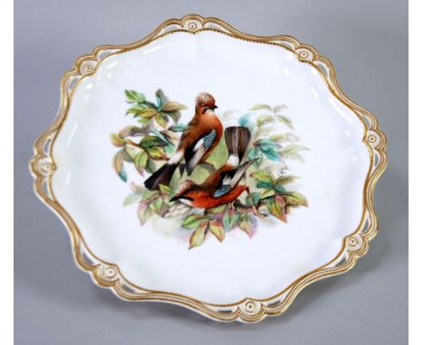 SPODE PORCELAIN PLATTER, the centre painted with two jays perched on a leafy bough with a nest of eggs, circular with gilt wa