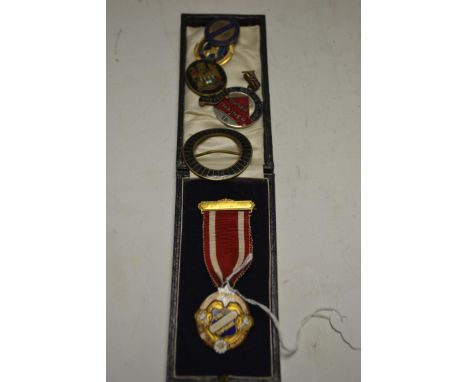 A Natal Racing Clubs owner trainer badge; a PWA Sons of Temperance medallion; an enamel buckle; enamel badges (7)
