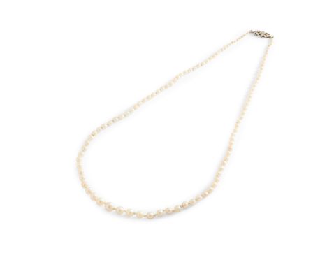 A pearl necklace composed of a single strand of graduated pearls (untested), to a plain 9ct white gold clasp set with a singl