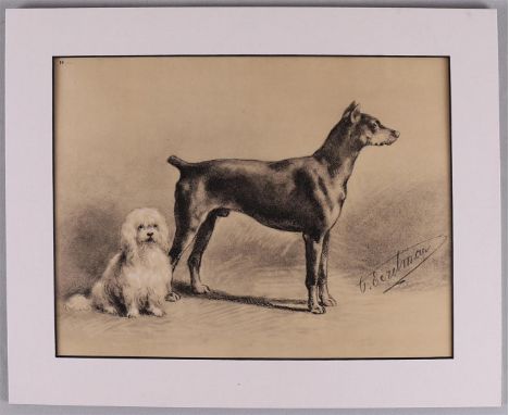 Eerelman, Otto (Groningen 1839-1926) "Portrait of a dog" + "Portrait of Doberman and Maltese", signed in the plate, lithograp