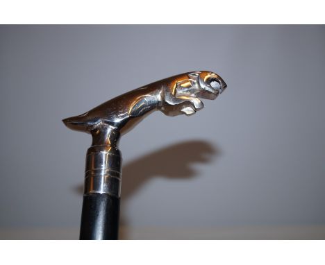 Jaguar handle walking stick  