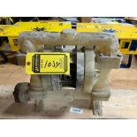 Wilden Model 200 Diaphragm Pump