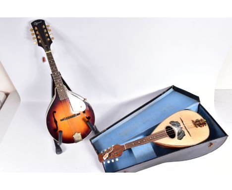 A TRADITIONAL BOWL BACK MANDOLIN with butterfly motif by sound hole in case, aTGI guitar stand and a modern Ozark Mandolin (3