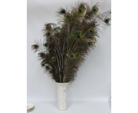 Peacock feathers in ceramic vase