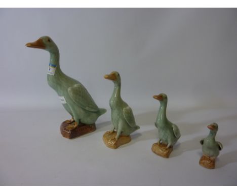 Set of four Chinese ceramic ducks, impressed four character mark to base H22.5cm