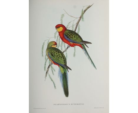 Mannering (Eva) Mr Gould's Tropical Birds, Ariel Press [1955] No. 903 of 2000. Folio, orig. cloth, slipcase. Colour plates. W