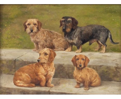 Frances Mabel Hollams (British 1877-1963)/A Family Portrait/four wire haired dachshunds/signed Frances Hollams '36/oil on can